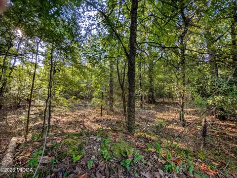 3821 Crest Dr, Macon, GA 31217 photo 8