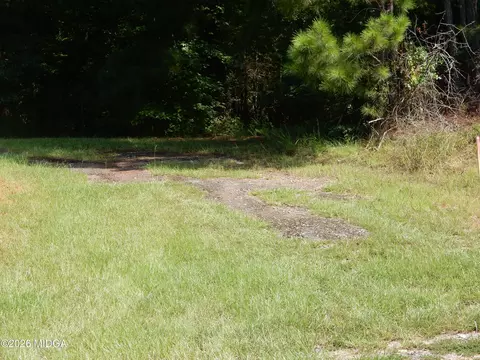 Parcel 1 Whitaker Road, Roberta, GA 31078 photo 3