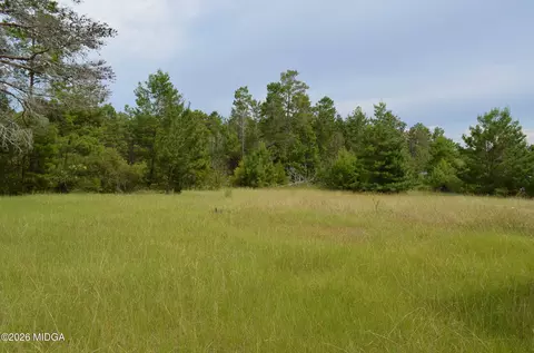 Other - 223 Carroll Rd, Roberta, GA 31078 photo 3 of 5