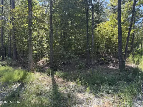 0 Hwy 18 E, Gray, GA 31032 photo 5