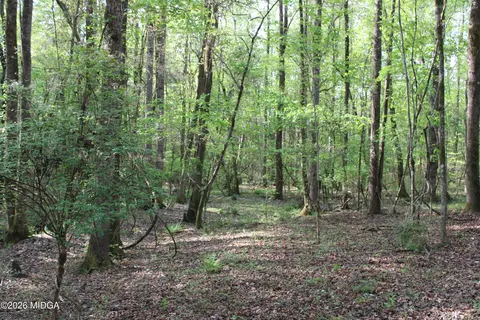 01 Ruffner Rd, Barnesville, GA 30204 photo 19