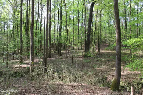 01 Ruffner Rd, Barnesville, GA 30204 photo 20