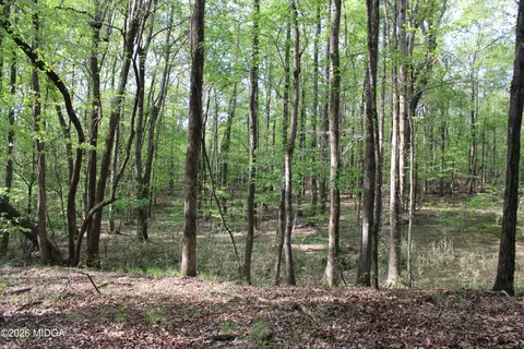 01 Ruffner Rd, Barnesville, GA 30204 photo 24