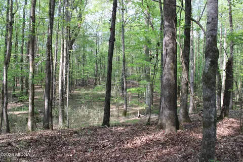 01 Ruffner Rd, Barnesville, GA 30204 photo 2