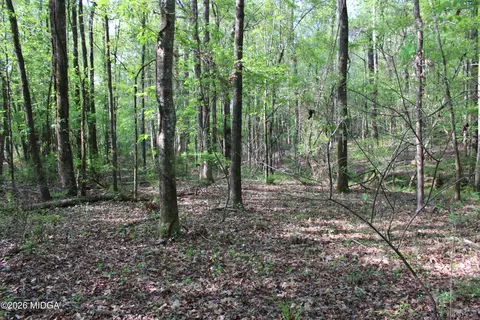 01 Ruffner Rd, Barnesville, GA 30204 photo 17