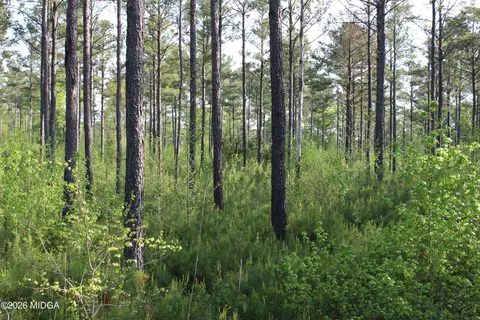 01 Ruffner Rd, Barnesville, GA 30204 photo 13