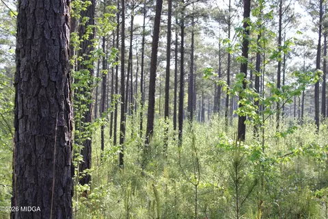 01 Ruffner Rd, Barnesville, GA 30204 photo 11