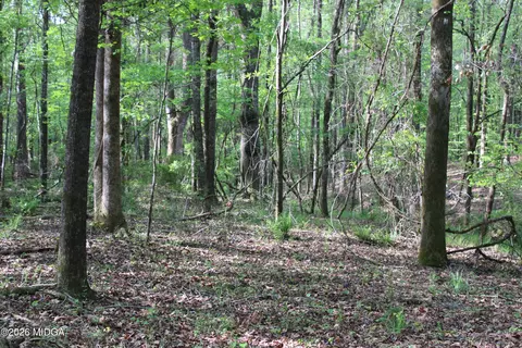 01 Ruffner Rd, Barnesville, GA 30204 photo 18