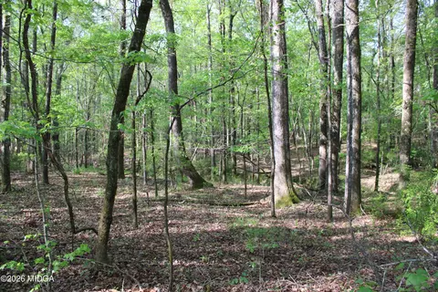 01 Ruffner Rd, Barnesville, GA 30204 photo 8