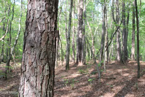 01 Ruffner Rd, Barnesville, GA 30204 photo 22