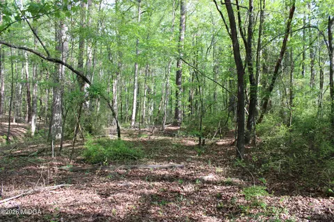 01 Ruffner Rd, Barnesville, GA 30204 photo 23