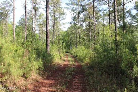 01 Ruffner Rd, Barnesville, GA 30204 photo 9