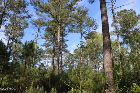 2 Ruffner Rd, Barnesville, GA 30204 photo 28