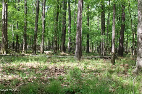 2 Ruffner Rd, Barnesville, GA 30204 photo 10