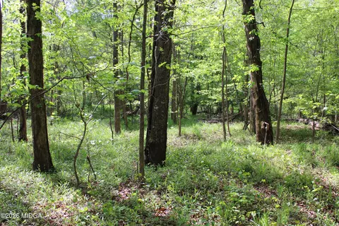 2 Ruffner Rd, Barnesville, GA 30204 photo 9