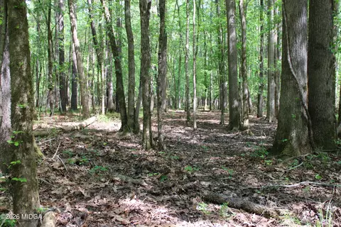 2 Ruffner Rd, Barnesville, GA 30204 photo 8