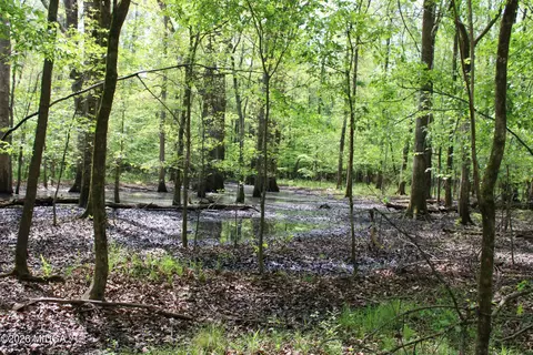 2 Ruffner Rd, Barnesville, GA 30204 photo 26
