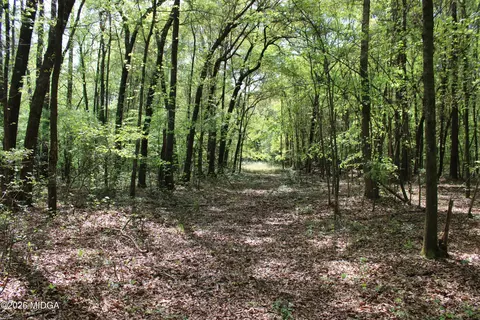 2 Ruffner Rd, Barnesville, GA 30204 photo 5