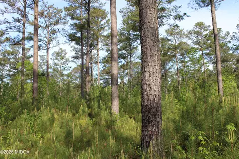 2 Ruffner Rd, Barnesville, GA 30204 photo 27
