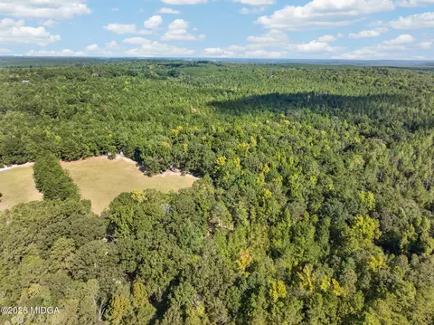 View/Area - 881 King Rd, Gordon, GA 31031 photo 5 of 12