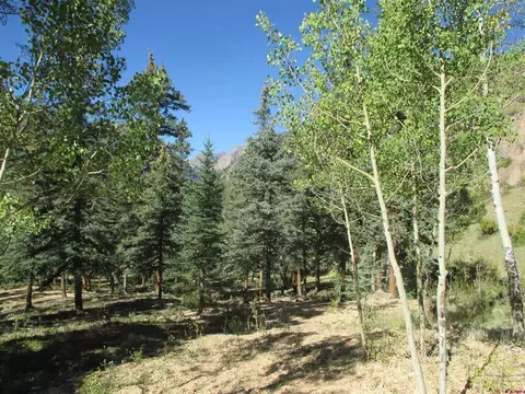 111 Alder Ln, Lake City, CO 81235