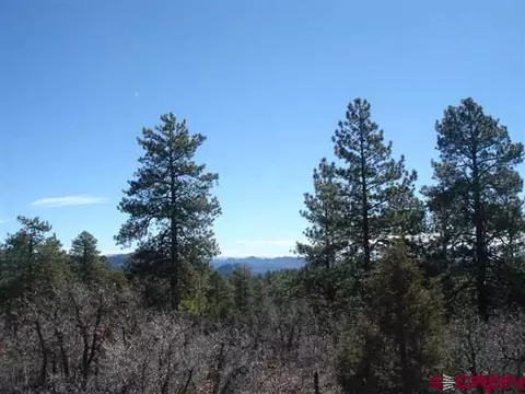 1463 Sheep Springs Rd, Durango, CO 81301 photo 1