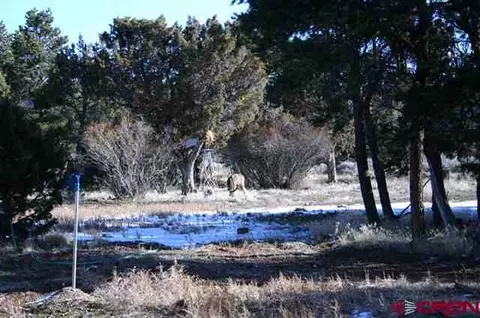 24689 Timothy Rd, Cedaredge, CO 81413 photo 1