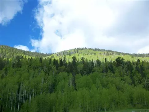 tbd Meadowview Dr, Durango, CO 81301 photo 1
