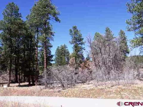 48 Needle Creek Ct, Durango, CO 81301 photo 1