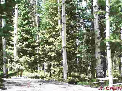321 Crest Dr, Cimarron, CO 81220 photo 1