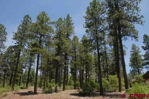152 Edgemont Highlands Pass, Durango, CO 81301 photo 1