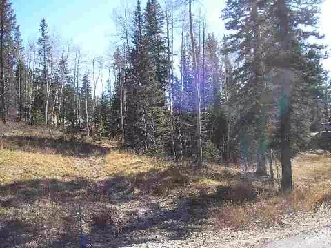83 Storm Peak Dr, Durango, CO 81301 photo 1