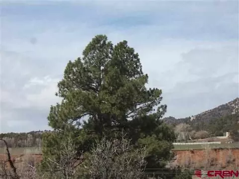 4028 Cr 225, Durango, CO 81301 photo 1