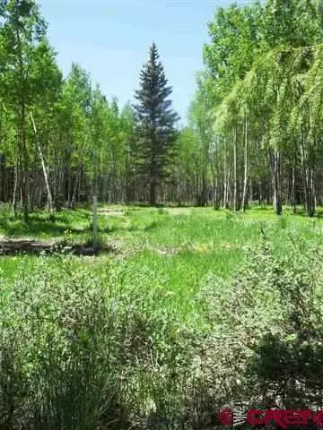 2173 Spruce Rd, Cimarron, CO 81220 photo 1