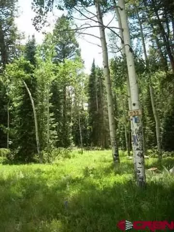 535 Aspen Dr, Cimarron, CO 81220 photo 1