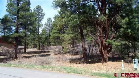 85 Clear Creek Loop, Durango, CO 81301 photo 1
