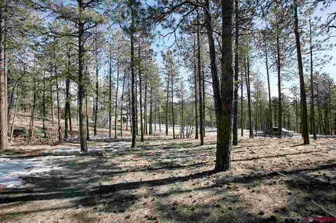 516 Monarch Crest Trl, Durango, CO 81301 photo 1