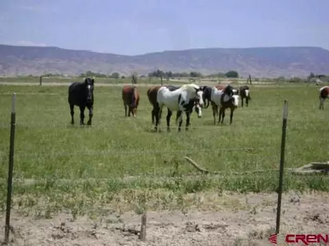 4456 2000 Rd, Delta, CO 81416 photo 1