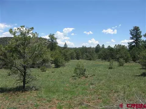 101 Red Rooster Rd, Durango, CO 81301 photo 1