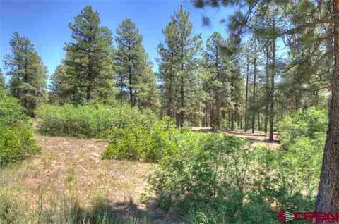 29 Cave Basin Ct, Durango, CO 81301 photo 1