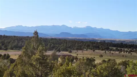 1685 Cr 318, Ignacio, CO 81137 photo 1