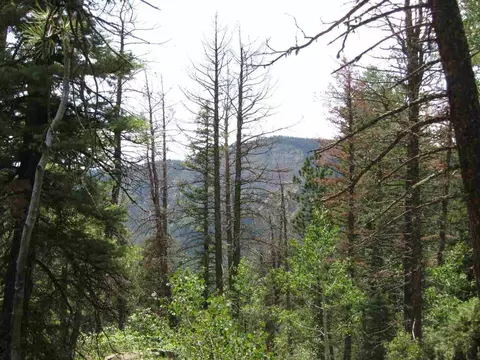 145 Columbine Way, Durango, CO 81301 photo 1