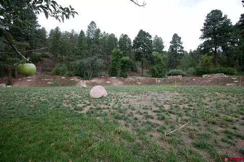 7043 Cr 203, Durango, CO 81301 photo 1