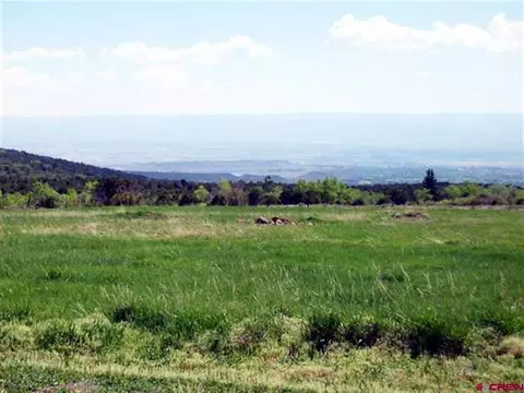 25582 Vail Rd, Cedaredge, CO 81413 photo 1