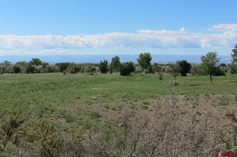 20566 Marble Rd, Eckert, CO 81418 photo 1