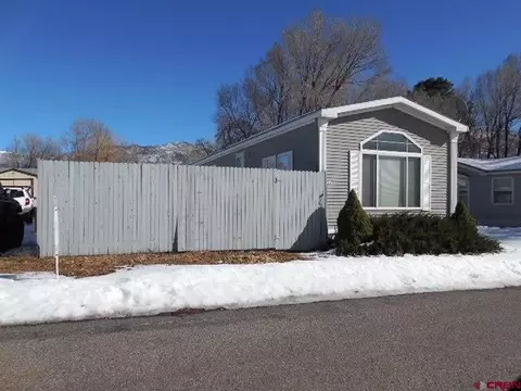 12 Raspberry Cir, Durango, CO 81301 photo 1