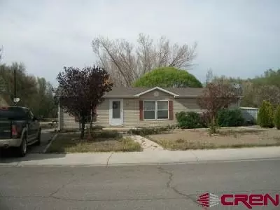 585 Bluff Pl, Delta, CO 81416 photo 1