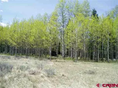 161 Lake Rd, Cimarron, CO 81220 photo 1