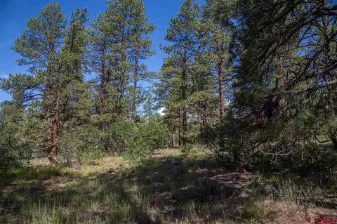 197 Engine Creek Trl, Durango, CO 81301 photo 1