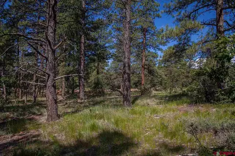 169 Engine Creek Trl, Durango, CO 81301 photo 1